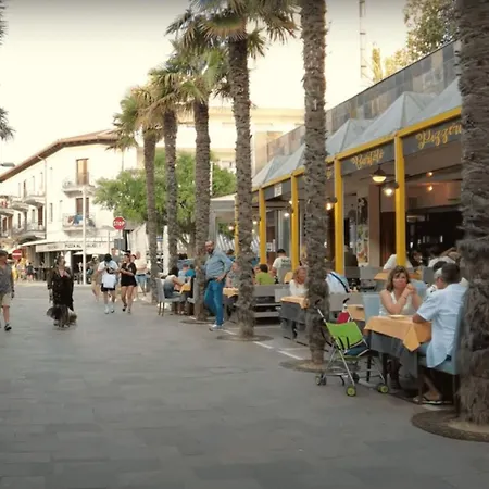 Comfortable Flat 350mt From The Sea